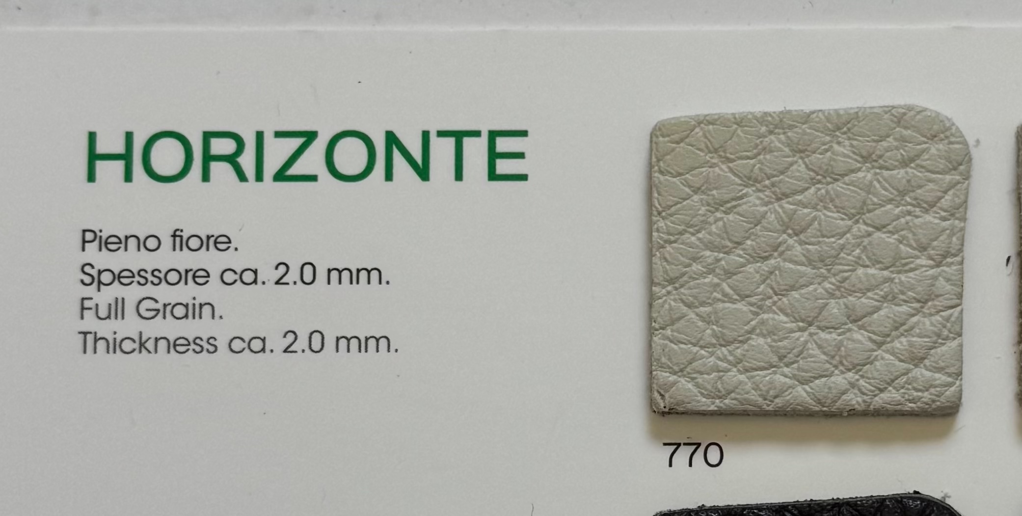 Horizonte 770